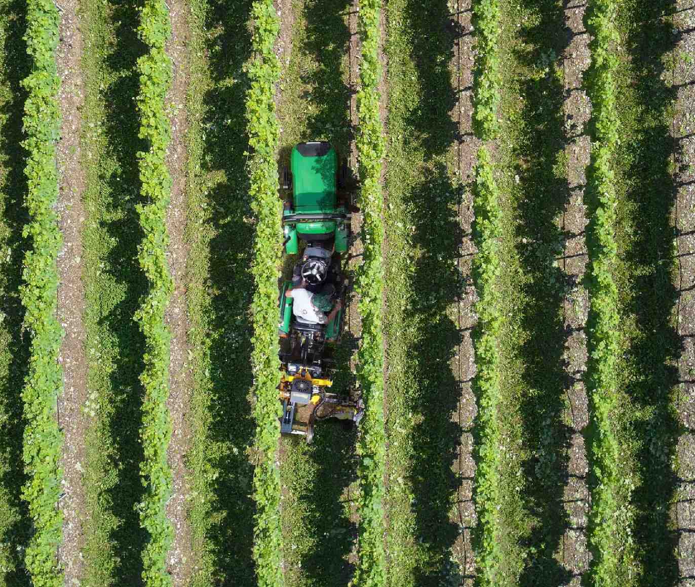 FERRARI Knicklenker-Traktor Cobram 60 AR Micro -Grundmaschine ohne Bereifung - Image 9