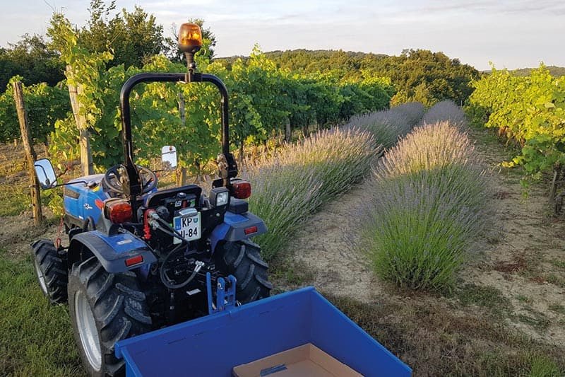Solis Kompakttraktor 26 Grundmaschine ohne Bereifung - Image 3