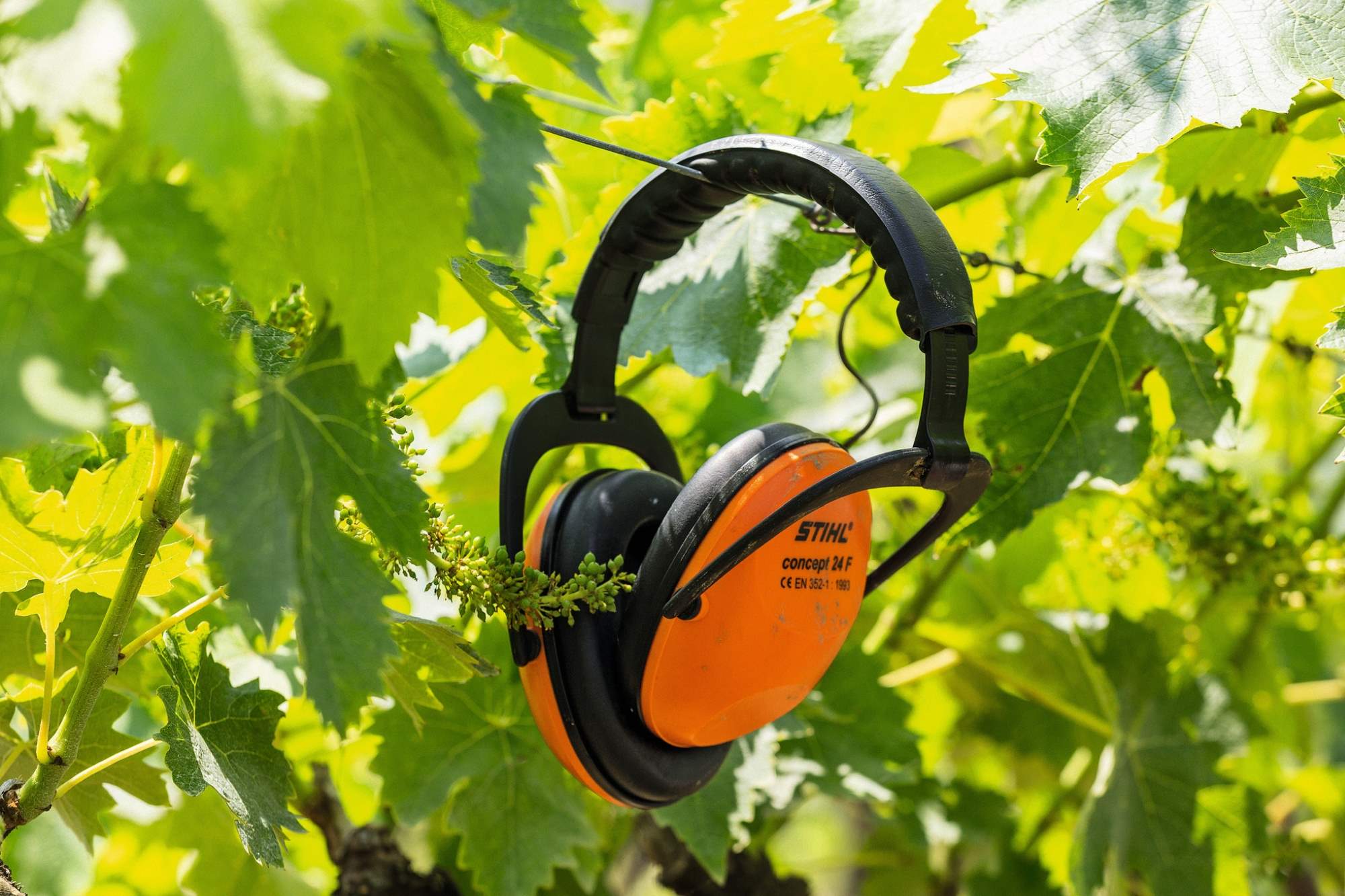 STIHL Concept-24F, Gehörschutzbügel - Image 4